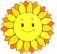 himawari_icon
